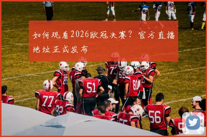 如何观看2026欧冠决赛？官方直播地址正式发布