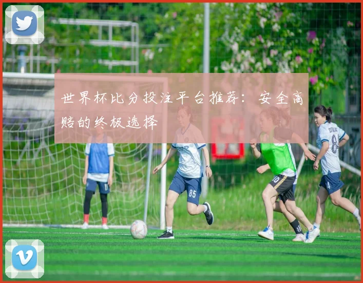 世界杯比分投注平台推荐：安全高赔的终极选择
